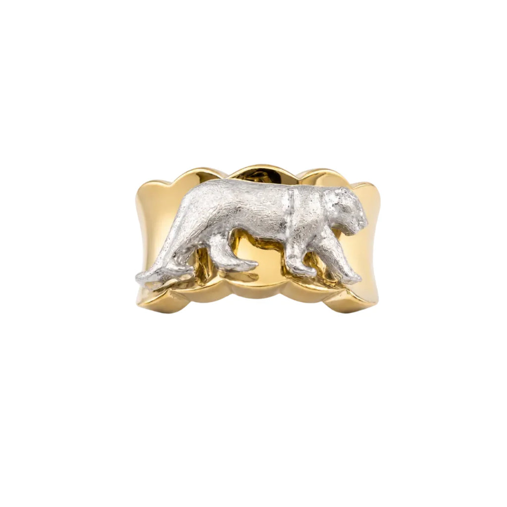 Close up Ring image