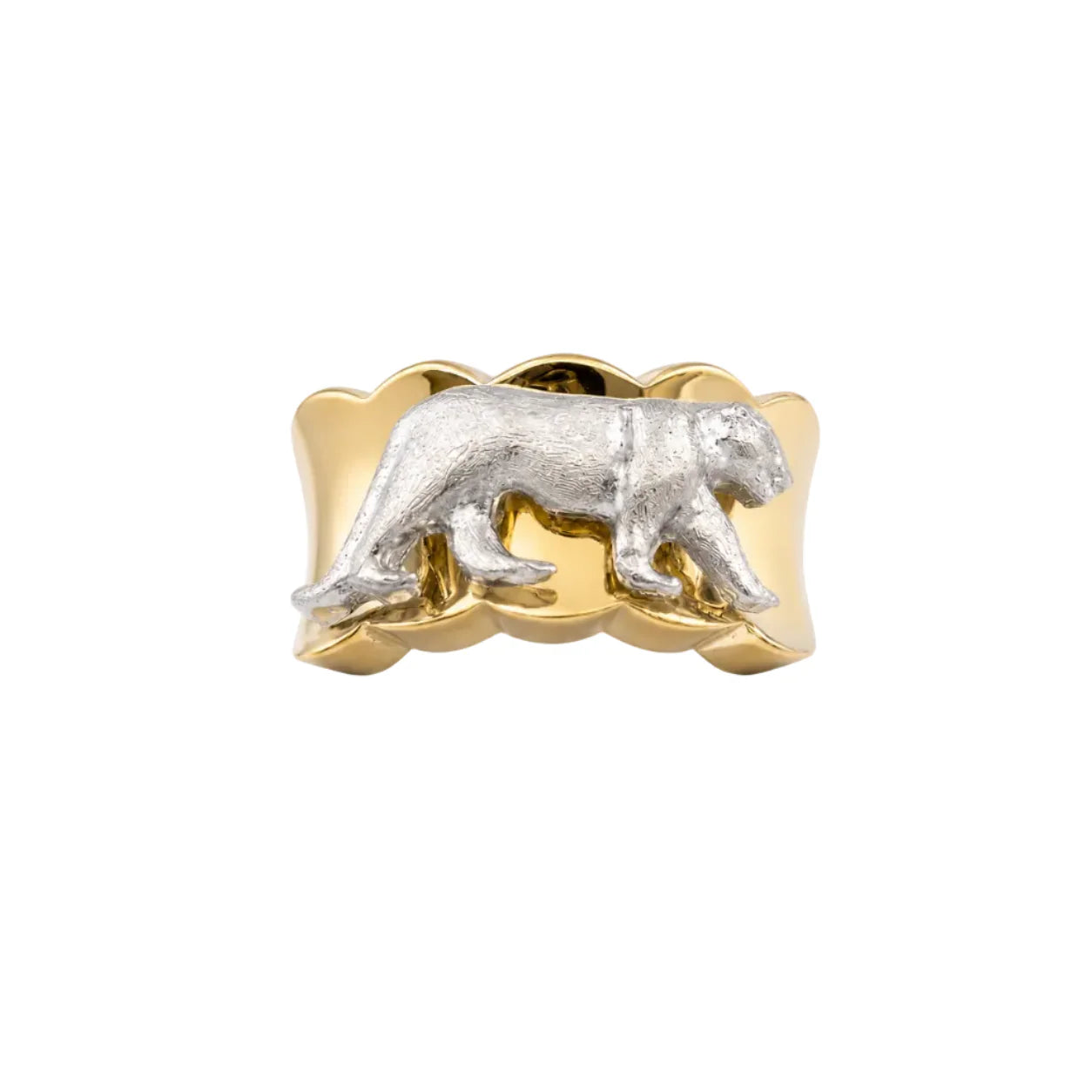Close up Ring image